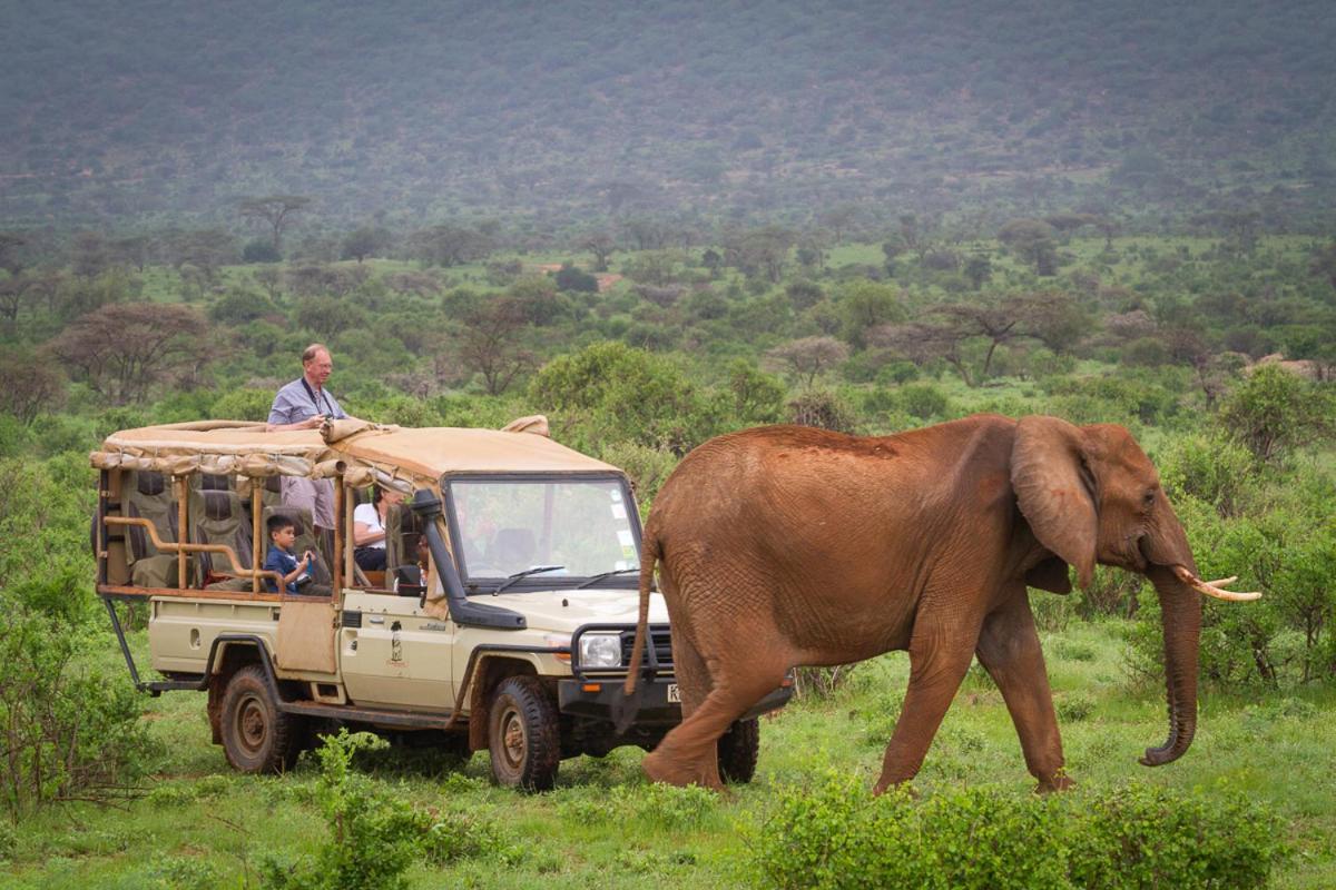 Elephant Bedroom Camp - Samburu Archers Post Exterior photo